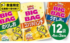 カルビー ポテトチップス BIGBAG 160g 3種 各4袋セット (計 12袋 ) うすしお のりしお コンソメパンチ ポテチ お菓子 おかし 大量 スナック