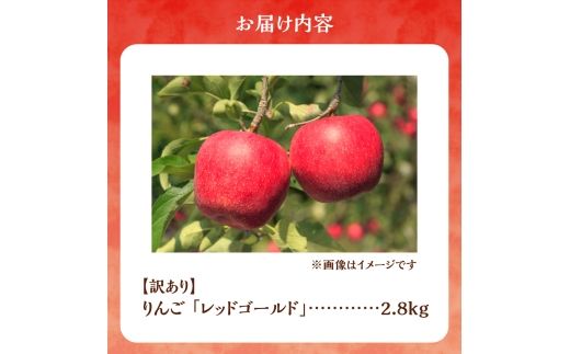 【先行予約：2026年10月中旬より発送】訳アリ りんご（レッドゴールド）2.8kg【北海道余市町産】_Y103-0084