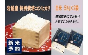 【新米受付・令和8年産米】新潟県村上市岩船産 特別栽培米 ちょっと贅沢なコシヒカリ 10kg（5kg×2袋）1039048N