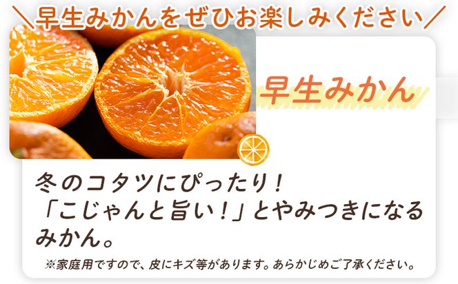 みかん定期便 3回 土佐乃かなやのみかん5kg(S～Lサイズ)×3回 合計15kg - 定期便 数量 国産 早生みかん 蜜柑 ミカン 柑橘 果物 くだもの フルーツ Wbe-0127