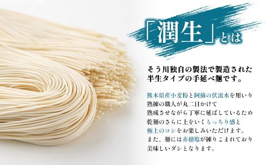潤生「人気の定番麺」セット12食入り - うどん そば そうめん 饂飩 蕎麦 素麺 麺類 国産 九州産 小麦 つゆ付 国産小麦 手延べ てのべ 潤い 生に戻し 再熟成 こだわり もっちり食感 簡単 煮込むだけ 常温保存可能 人気 おすすめ 熊本県 甲佐町