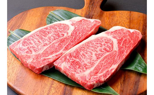 近江亭定期便【近江牛ステーキの会】全3回【AB104W】