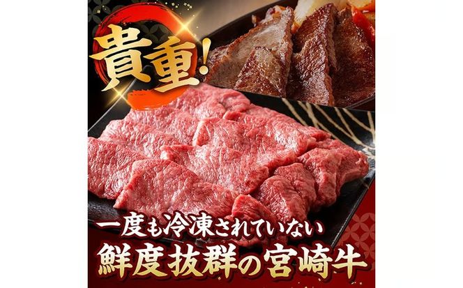 ※グラムが選べる※【A5等級】【新鮮チルド便】宮崎牛上カルビ焼肉 【 肉 宮崎 焼肉 牛肉 おかず A5 】 [B13201 B13202 B13203]