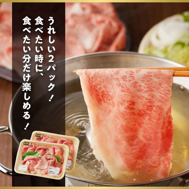 宮崎牛 ロースしゃぶ　N023-YZC004