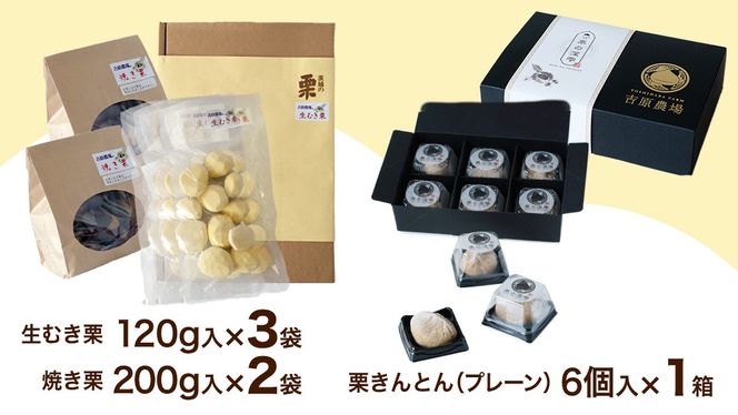 【 吉原農場 の 完熟栗 】熟成 栗 満喫 セット ( 栗の深雫 プレーン 6個入り ) 令和7年産 栗の深雫 完熟 生むき栗 焼き栗 栗きんとん プレーン くり クリ 栗ごはん おかし お菓子 果物 フルーツ 数量限定 旬 秋 冬 正月 おせち  [CX026ci] 