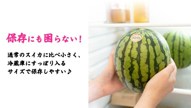 【 先行予約 】 【 訳あり 】 こだまスイカ 愛娘 2玉 2026年産 すいか スイカ 小玉スイカ フルーツ 果物 [AF084ci]