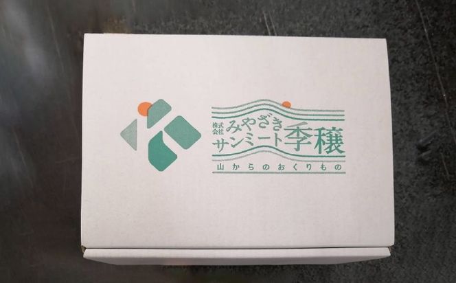 きじょん山豚 プレスハム700g×2本セット_K16_0067_3