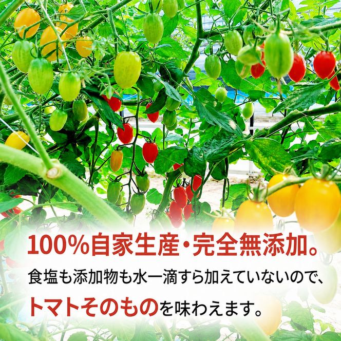 【先行予約】糖度平均9～10度！十勝 幕別産 ミニトマトジュース「自慢のトマトでつくりました。」赤720ml×1本・黄180ml×4本 セット［北海道ホープランド農場］食塩無添加【 トマト ミニトマト 飲料 ジュース 】
