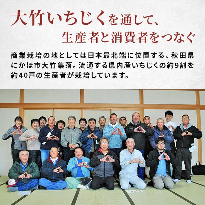 フローズン いちじく8kg（1kg×8袋） 果物詰合せ フルーツ 冷凍 無花果