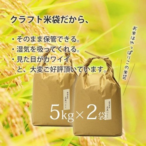 R7年産 玄米 10kg 元気つくし 福岡県産 特A評価 お米 5kg×2袋 米 コメ 福岡県 