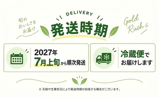 【2027年 先行予約】山梨県都留市産 ゴールドラッシュ 10～12本｜ 新鮮 朝採れ もぎたて発送 甘い とうもろこし トウモロコシ 産地直送 送料無料【炭香ファーム】 FC001