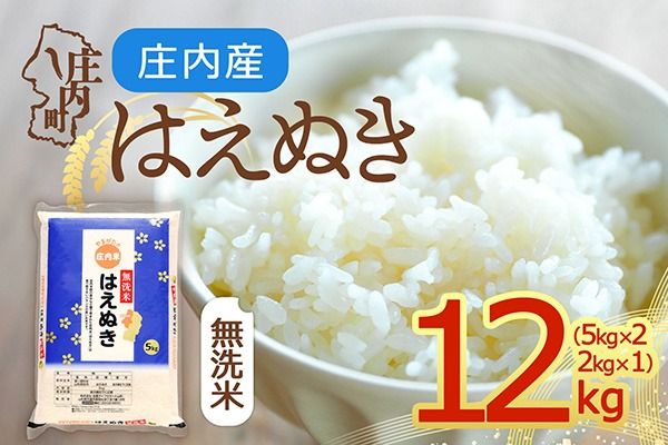 【令和8年産】庄内産 はえぬき 無洗米 12kg 5kg×2袋 2kg×1袋 余目産 余目町農協 あまるめ ブランド米 米 国産 単一原料米 山形 庄内平野
