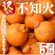 ＜先行予約受付中！2027年2月以降順次発送予定＞＜訳あり・不揃いの為＞数量限定！無加温ハウス不知火(5kg) 国産 鹿児島県 阿久根市 果実 果物 フルーツ 柑橘 みかん ミカン 期間限定 数量限定【桐野柑橘株式会社】akn070-12