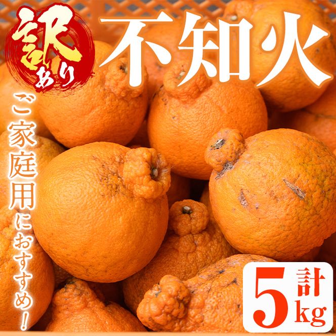 ＜先行予約受付中！2027年2月以降順次発送予定＞＜訳あり・不揃いの為＞数量限定！無加温ハウス不知火(5kg) 国産 鹿児島県 阿久根市 果実 果物 フルーツ 柑橘 みかん ミカン 期間限定 数量限定【桐野柑橘株式会社】akn070-12