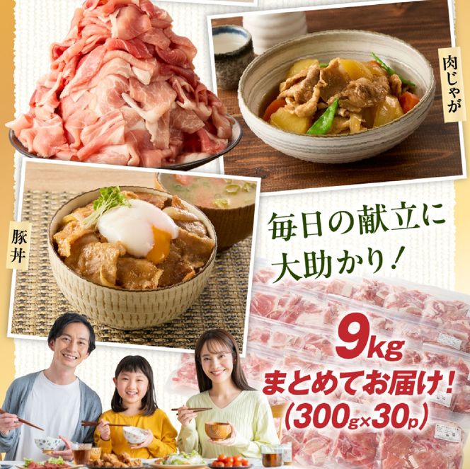 九州産豚小間切れ 9kg 300g×30P（国産 豚 豚肉 小間切れ 豚小間 豚こま 切り落とし 真空 小分け 冷凍 宮崎県 小林市 ）