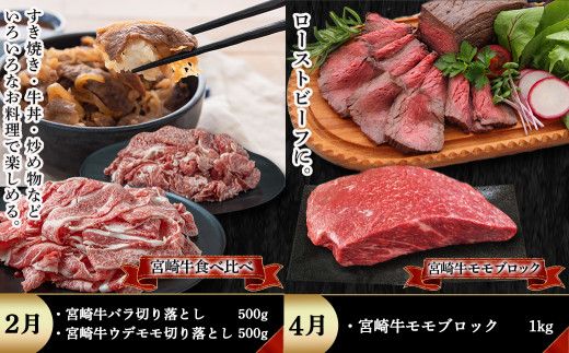 宮崎牛定期便(5回お届け) Aコース_N25-001-T5 宮崎牛 食べ比べ  バラ ウデ モモ カルビ サーロイン 肩ロース 切り落とし ブロック ステーキ スライス 5回 すき焼き 牛丼 炒め物 焼肉
