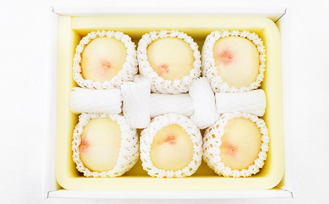 桃 2026年 先行予約 白桃 6玉（1玉300g以上）化粧箱入り もも モモ 岡山県産 国産 フルーツ 果物 ギフト 透き通る 白い 柔らかい 果汁 きめ細やか 恵み 知恵 情熱 贈り物