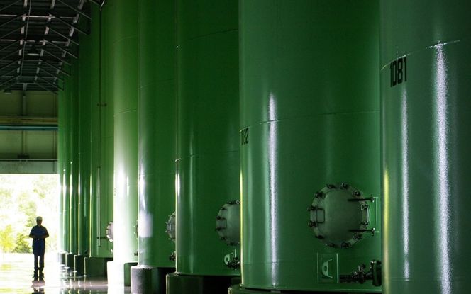 チョーヤ　TheCHOYA熟成一年本格梅酒ソーダ缶 350ml×24本 【igge0017】