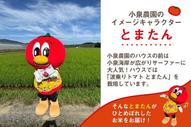 米 令和7年産 宮城県産 とまたんのひとめぼれ 5kg [サンフレッシュ小泉農園 宮城県 気仙沼市 20565646] 新米 ひとめぼれ ブランド米 白米 精米 ご飯 ごはん コメ こめ お米 小分け 家庭用 【CF01】