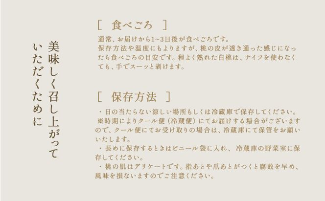 桃 2026年 先行予約 清水 白桃 5～6玉入り(約1.5kg) 贈答用 もも モモ 岡山県 赤磐市産 国産 フルーツ 果物 ギフト 
