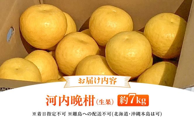 【先行予約】【数量限定】田縁農園の河内晩柑約7kg ※離島への配送不可 （2027年4月10日より順次発送）IKTA020