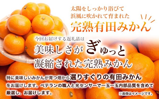 ＜先行予約＞厳選　完熟有田みかん2.5kg+75g（傷み補償分）【光センサー選果】 池田鹿蔵農園@日高町（池田農園株式会社）《11月中旬-1月末頃出荷》和歌山県 日高町【配送不可地域あり】---wsh_idn38_11c1m_24_7000_2500g---