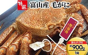 【特選】富山産　毛がに約900g×1尾（孫七タグ付き） ※2025年11月中旬～2026年3月中旬頃に順次発送予定