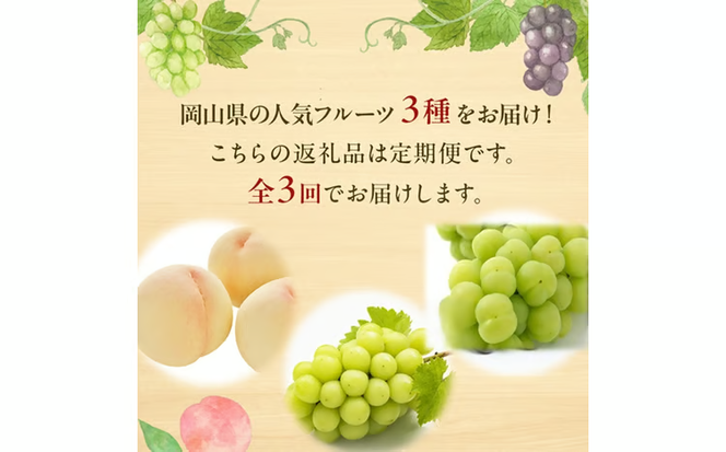 先行予約 晴れの国 岡山のフルーツ 定期便 3回コース 1回目岡山 白桃3玉 合計約600g／2回目桃太郎ぶどう 1房約500g／3回目シャインマスカット 1房約500g