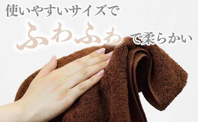 010B1700 【ホテル基準】吸水性バツグン！ フェイスタオル 6枚 (ブラウン)  泉州タオル