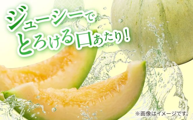 【2025年4月下旬～発送】【根強い人気!】 訳あり プリンスメロン 約4kg（傷もの）/ メロン めろん フルーツ 果物 / 南島原市 / 南島原果物屋[SCV024]