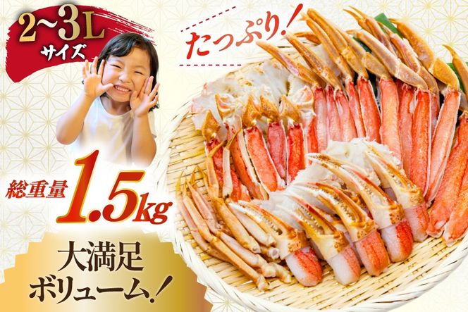 y{錧Csz Jbg  킢 ނg Zbg d 1.5kg (d1.2kg) 2-3LTCY [Jl_C {錧 Cs 20565690]  Jj YCKj 킢 YC I _ |[V ɓ ɂ 킢