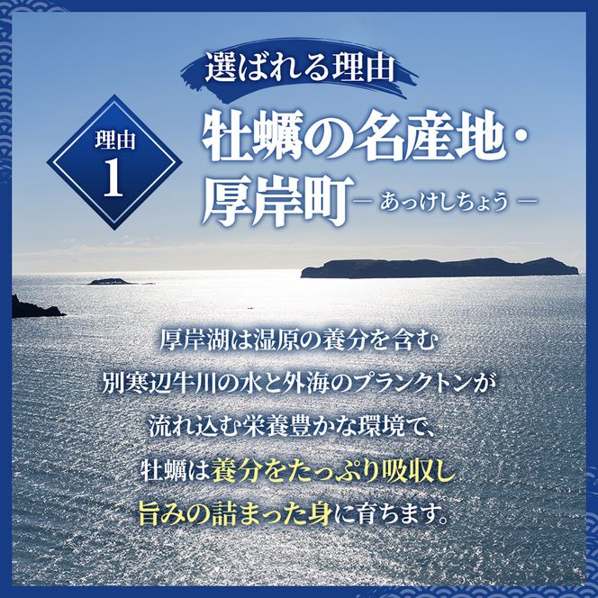 牡蠣 厚岸のブランド牡蠣 生食用 カキえもん Mサイズ 6個  [ 魚貝類 海鮮 海のミルク 国産 生食用殻付き牡蠣 まろやか クリーミー 食べやすい品種 海の香り 牡蠣の酒蒸し 焼き牡蠣  ]