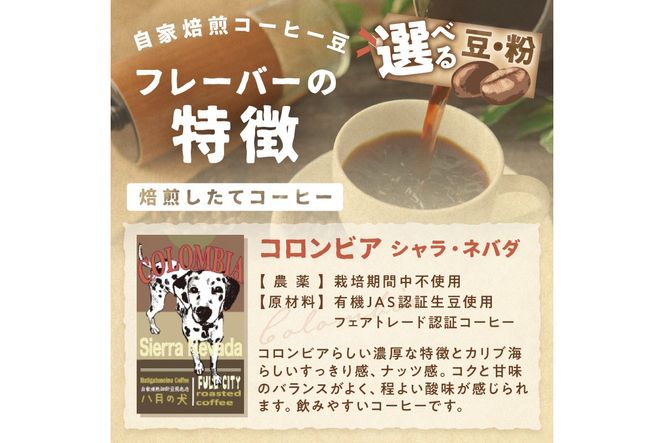 【栽培期間中農薬不使用】自家焙煎コーヒー豆 コロンビア シエラネバダ 500g（250g×2） 約50杯分 小分け　豆・粉 選べる 飲料 珈琲 こーひー コーヒー coffee　HA00026