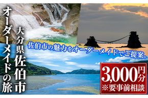 【大分県佐伯市】オリジナルオーダーメイドの旅(3000円分)【GV01】【(有)サンライズトラベル】