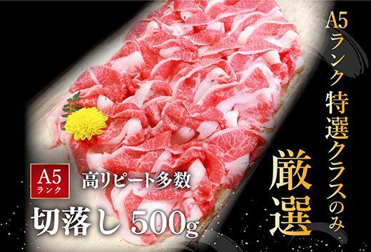 【げんさん】近江牛A5ランク切落し【500g】【訳あり】【DG12W】