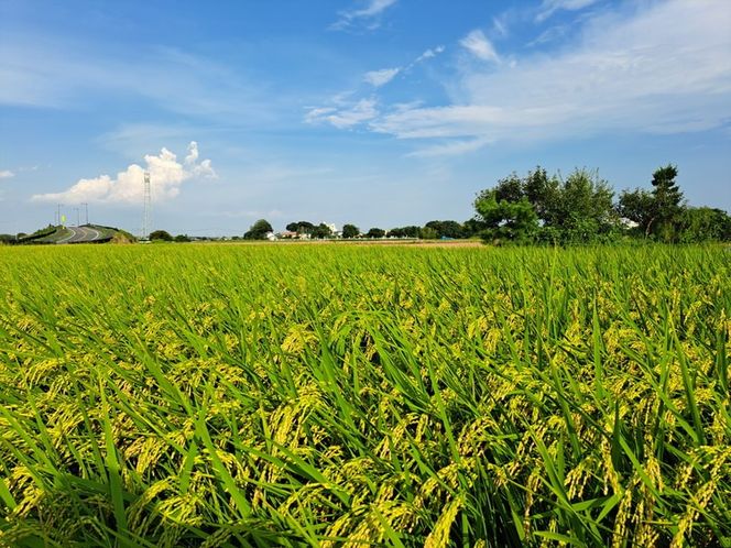 y錧푍szyߘa7NYzyāzRVqJ5kg 錧푍sY āb    R  Ђ