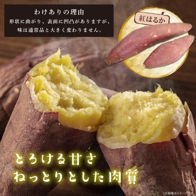 【先行予約】【2026年11月より順次発送開始】【訳あり】紅はるか 約10kg｜さつまいも 芋 お芋 わけあり 訳あり 紅はるか タネのハシモト 茨城県 行方市(BS-23)