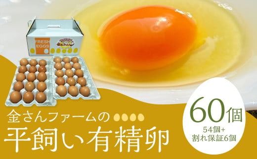 yÖszyLz60i54+ۏ6j ܂  ʎq {  L