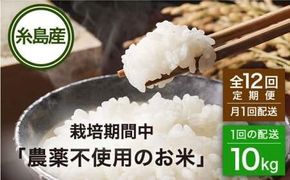 【全12回(月1回)定期便】栽培期間中 農薬不使用のお米 ヒノヒカリ 10kg 糸島市 シーブ [AHC046] お米 10kg 送料無料 ギフト 10キロ 無農薬 栽培期間中 米 定期便