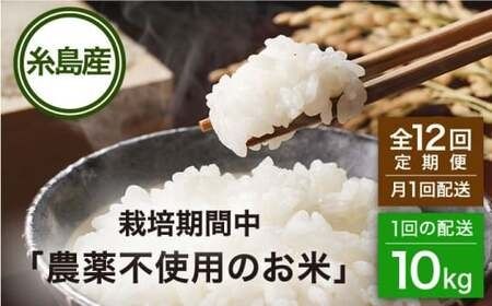 【全12回(月1回)定期便】栽培期間中 農薬不使用のお米 ヒノヒカリ 10kg 糸島市 シーブ [AHC046] 米 定期便