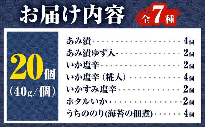 内野海産の海の幸セット 20個入り 《45日以内に出荷予定(土日祝除く)》あみ漬 いか 海苔 佃煮 塩辛 いかすみ---sn_cuchisaci20_45d_r7_17500_800g---