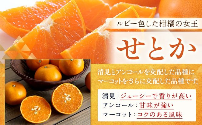 訳あり せとか 1kg M～2Lサイズおまかせ 高石垣ファーム  K011 