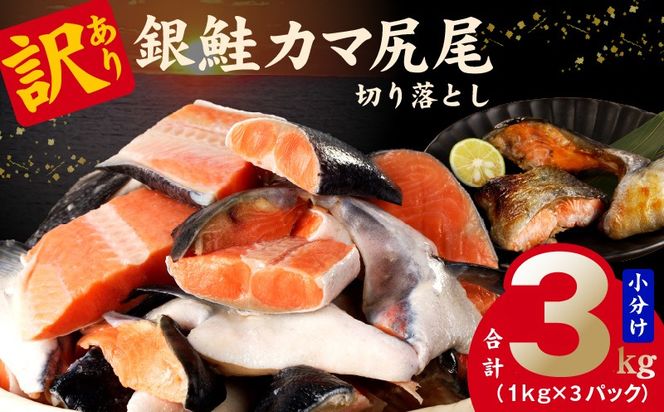 kgp0110-1 【訳あり】規格外 銀鮭 切り落とし 3kg【カマ 尻尾 小分け 1kg×3P 海鮮 魚介 鮭 さけ しゃけ 部位不揃い 圧倒的企業努力】