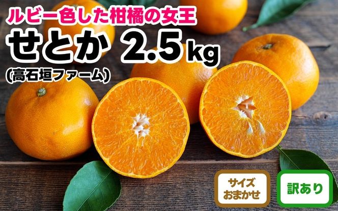 訳あり せとか 2.5kg M～2Lサイズおまかせ 高石垣ファーム   K012
