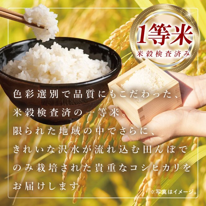 筑波山麓・羽鳥の沢水米 コシヒカリ 精米 10kg【茨城県共通返礼品：桜川市】|お米 米 こしひかり 茨城県 取手市（CA002）