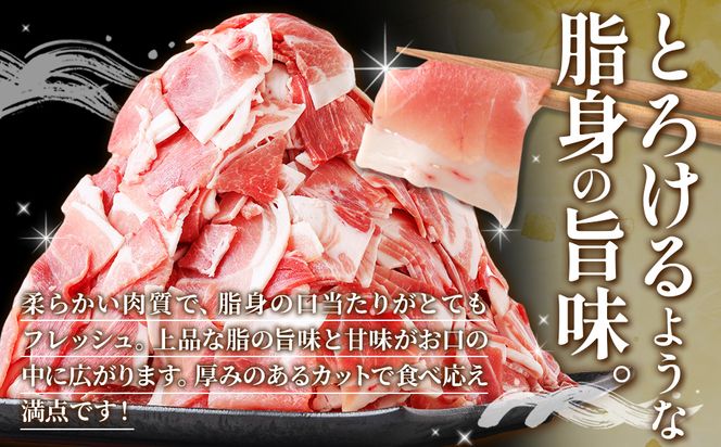 定期便 6回お届け 宮崎県産 いもこ豚 小間切れ 1.5kg (250g×6パック) 真空パック 小分け 豚肉 えびの市