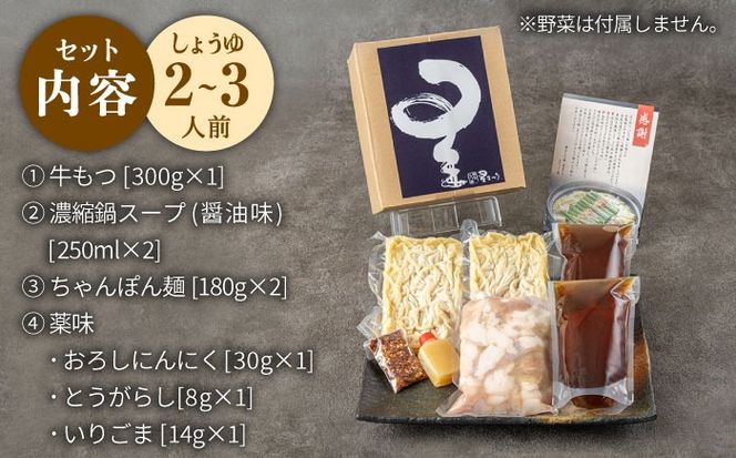 国産牛もつ鍋醤油味セット(2～3人前)《築上町》【博多もつ鍋 星まつり】[ABDH004]