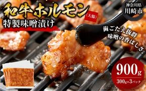 ホルモン 大腸 味噌漬け 900g ( 300g × 3 ) 歯ごたえ抜群 小分け 使いやすい 味付き 調理便利 焼肉 野菜炒め ホルモン炒め 訳あり 不揃い 和牛 冷凍 配送時期が選べる 個包装 冷凍保存 アウトドア キャンプ おすすめ 人気