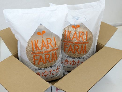 【新米】令和8年産　すっごいもちもち 「しきゆたか」 玄米【10kg(5kg×2袋）】【C003W2】（滋賀県　近江八幡市）