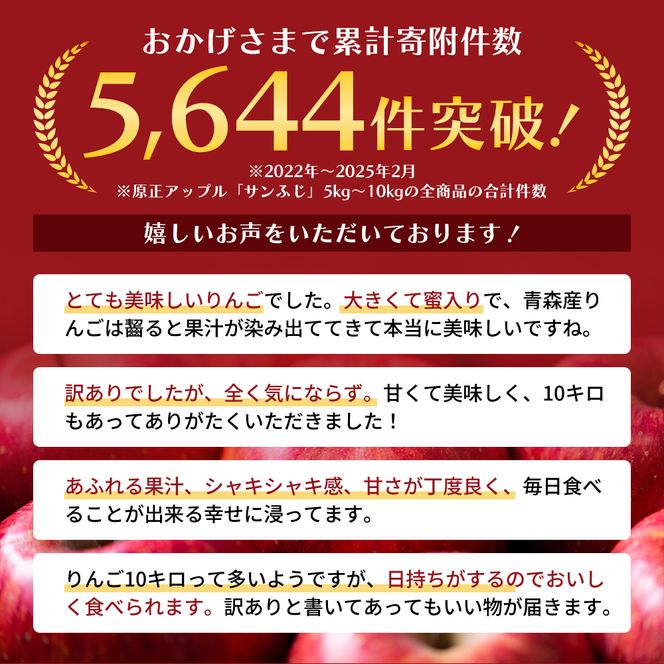 11～12月発送 家庭用 サンふじ 約5kg【訳あり】【原正りんご 青森県産 津軽産 リンゴ 林檎】 果物類 希少 葉取らず 完熟 安心 丸かじり 甘い 高糖度 
